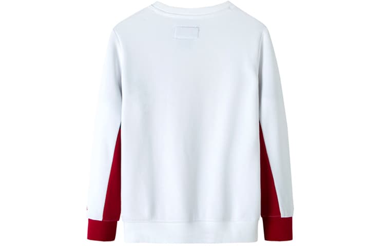 Jordan Colorblock Logo Pullover Hoodie White Kids - изображение 2