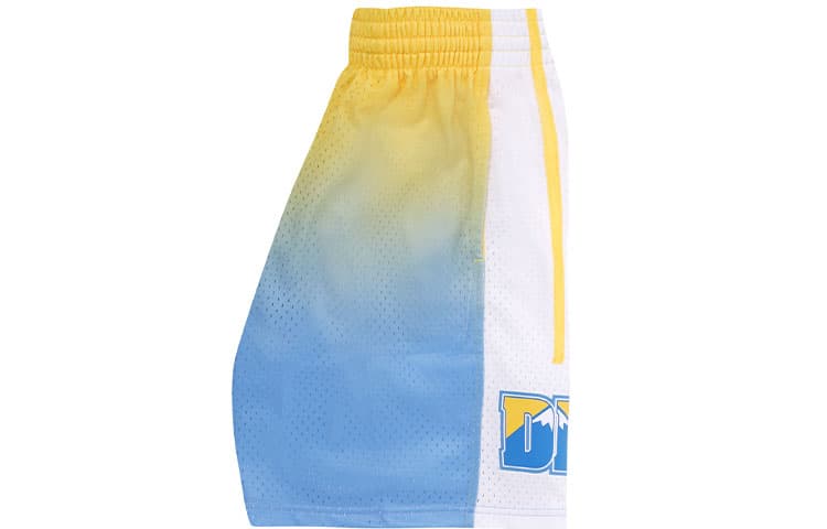 Баскетбольные шорты Mitchell Ness - изображение 5