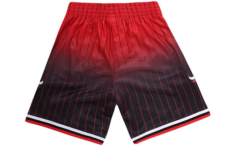 Баскетбольные шорты Mitchell Ness - изображение 4