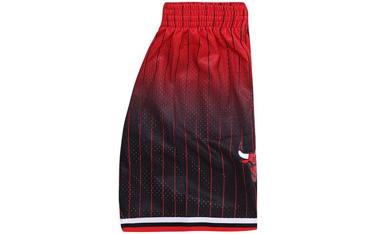 Баскетбольные шорты Mitchell Ness - изображение 6