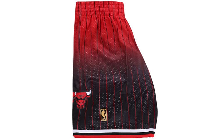 Баскетбольные шорты Mitchell Ness - изображение 5