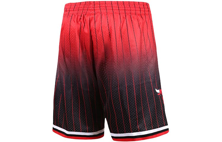 Баскетбольные шорты Mitchell Ness - изображение 2