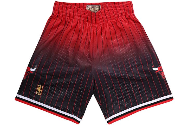 Баскетбольные шорты Mitchell Ness - изображение 3