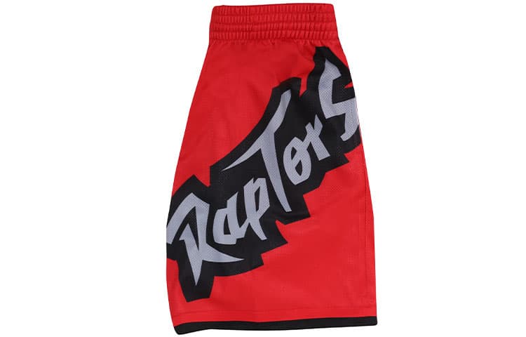 Баскетбольные шорты Mitchell Ness SW - изображение 3