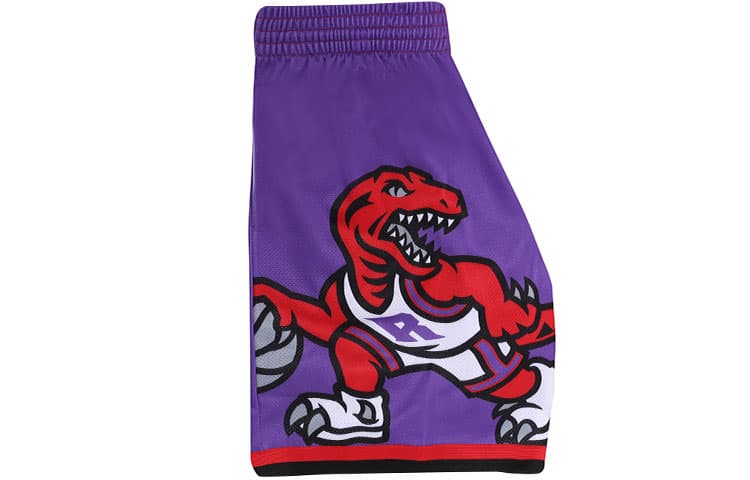 Баскетбольные шорты Mitchell Ness SW - изображение 4