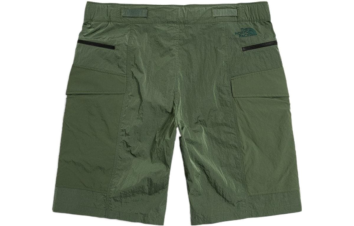Шорты THE NORTH FACE FW22 FW22 Logo - изображение 2