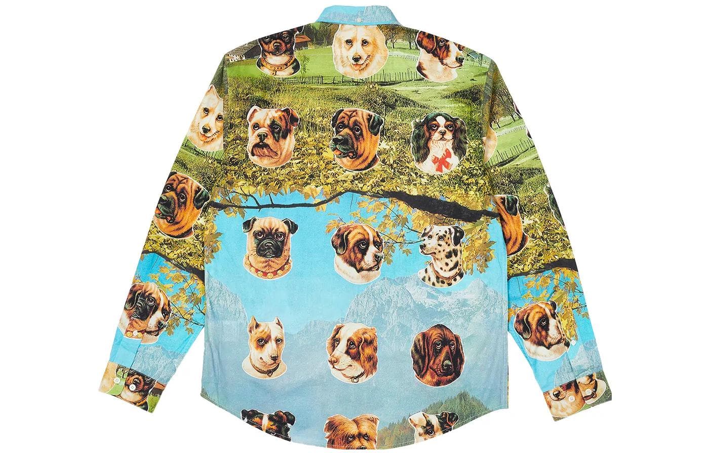 Рубашка PALACE FW22 Place Payne Shirt Multi - изображение 2