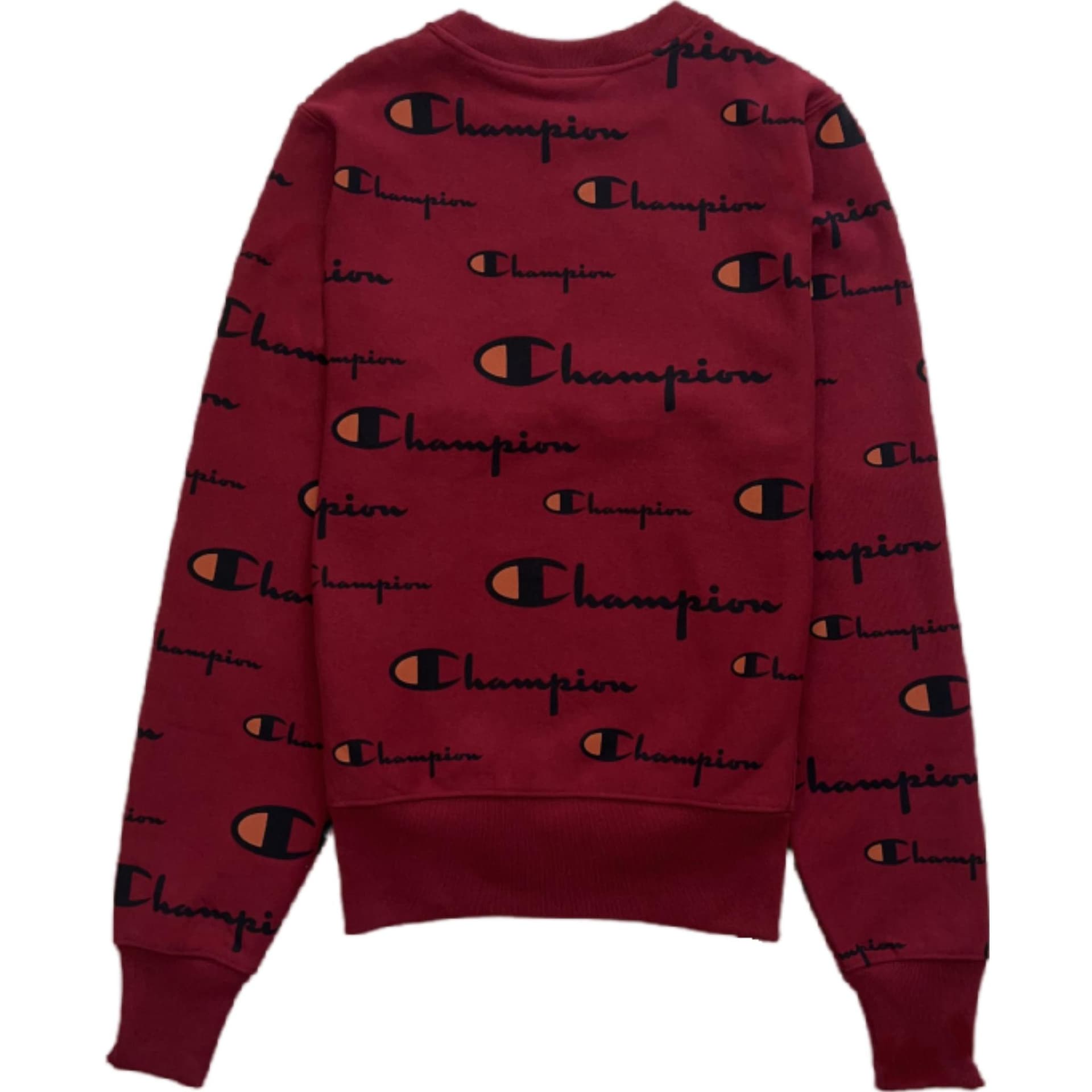 Худи Champion Logo - изображение 2