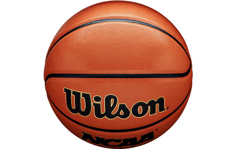 Мяч Wilson NCAA 7 - изображение 4