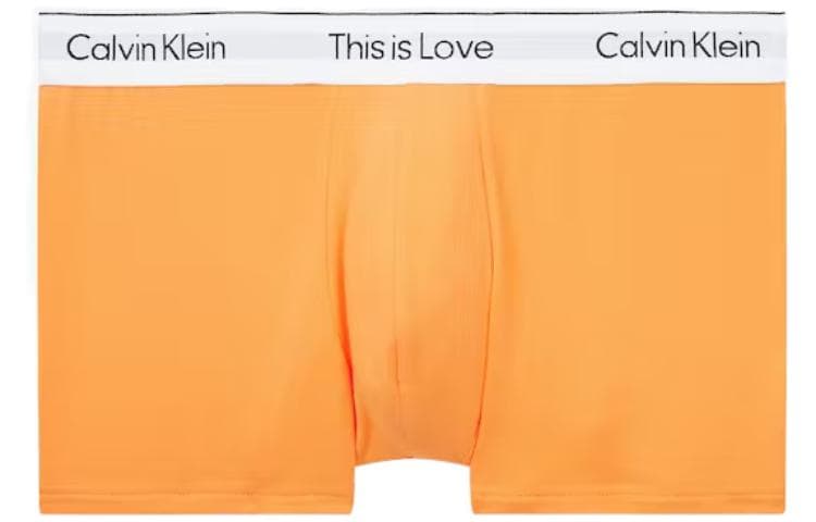 Трусы CKCalvin Klein SS22 Logo - изображение 1