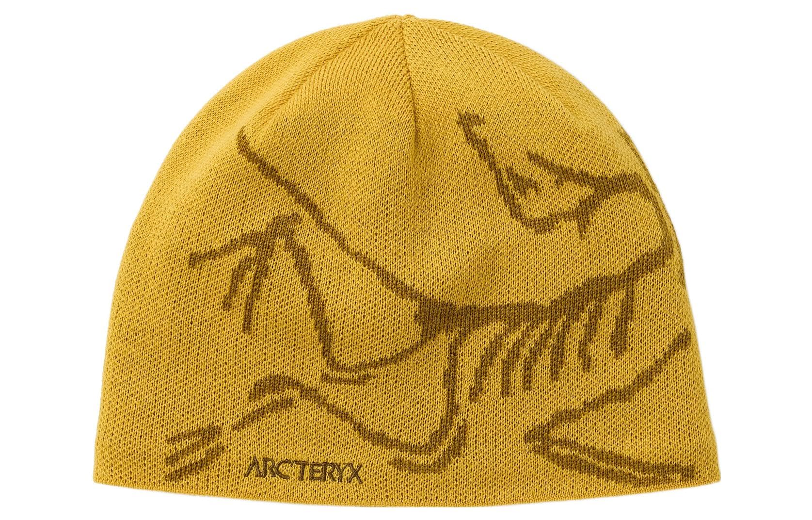 Шапка Arcteryx Logo - изображение 1