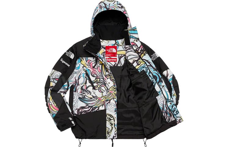 Куртка Supreme x The North Face Steep Tech Apogee Jacket - изображение 4