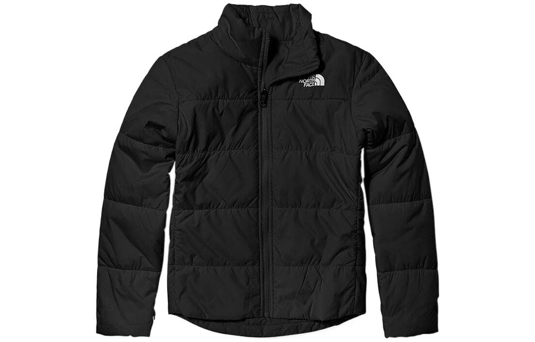 THE NORTH FACE Logo - изображение 2
