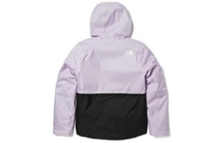 THE NORTH FACE Logo - изображение 2