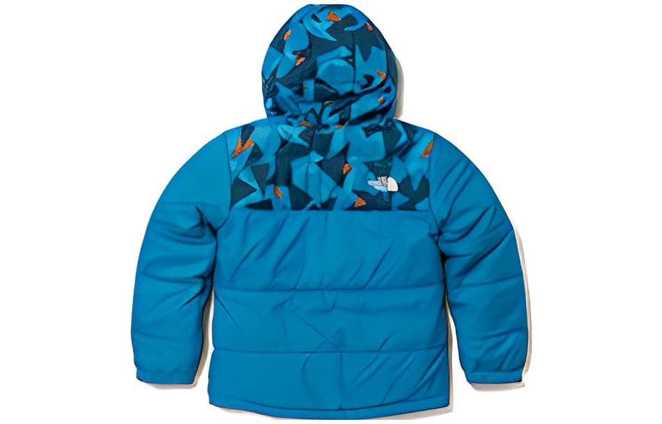 THE NORTH FACE Logo - изображение 2