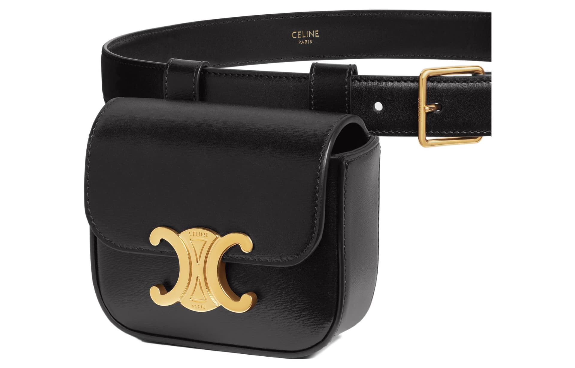 Поясная сумка CELINE Triomphe Mini Waist Bag Black - изображение 3