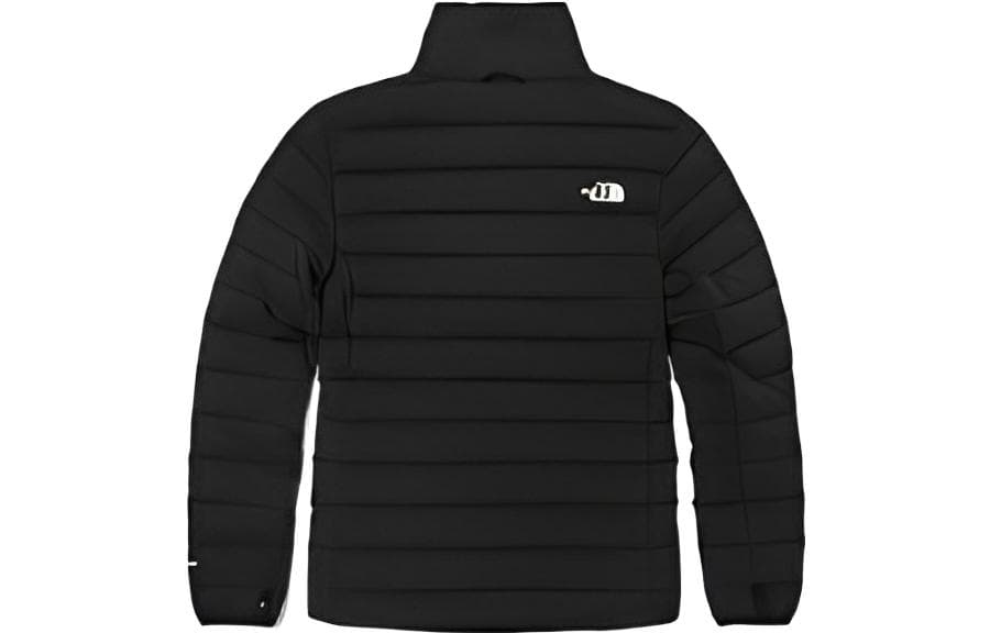 Пуховик THE NORTH FACE Logo - изображение 2