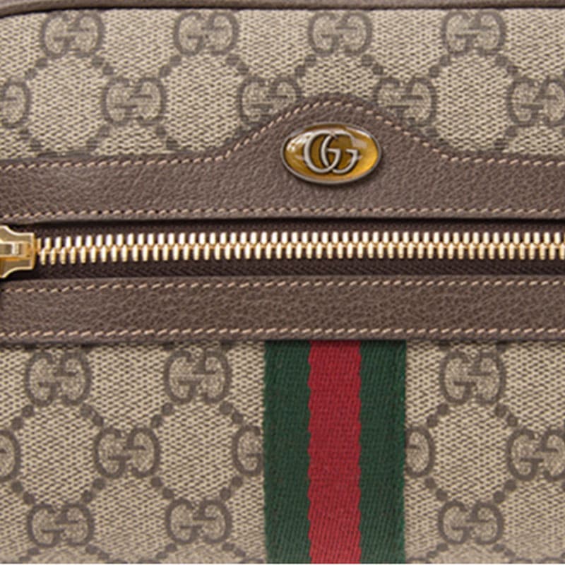 Поясная сумка Gucci Ophidia - изображение 5