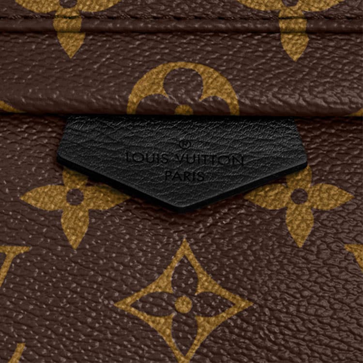 Рюкзак Louis Vuitton Palm Springs Backpack Small Brown - изображение 7
