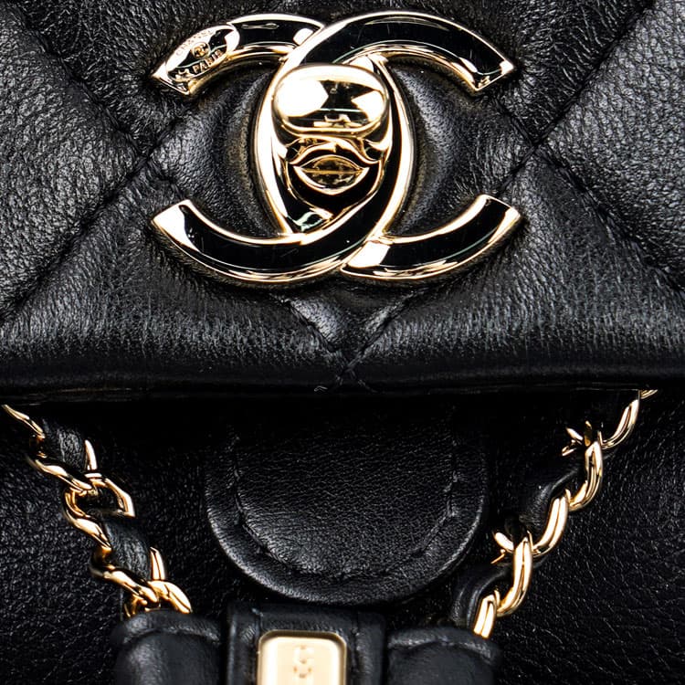 Рюкзак CHANEL Duma - изображение 5