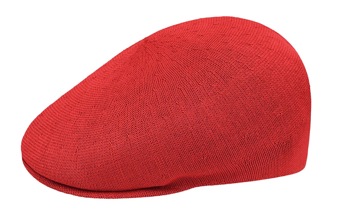 Берет KANGOL - изображение 1