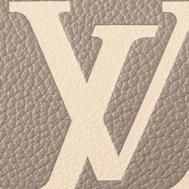 Сумка Louis Vuitton Speedy Bandouliere 20 - изображение 4