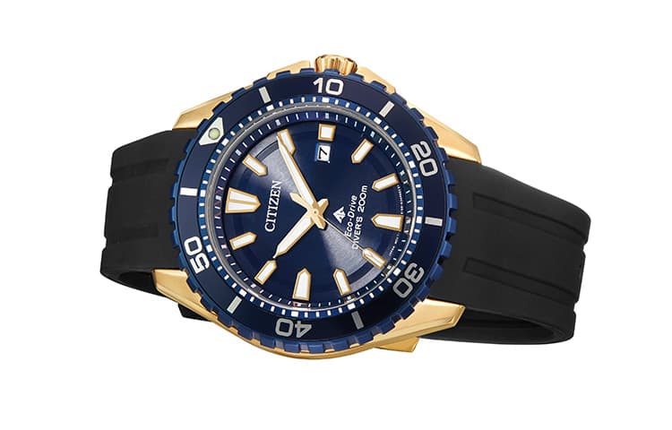 Часы CITIZEN Promaster 200 PU BN0196-01L - изображение 2