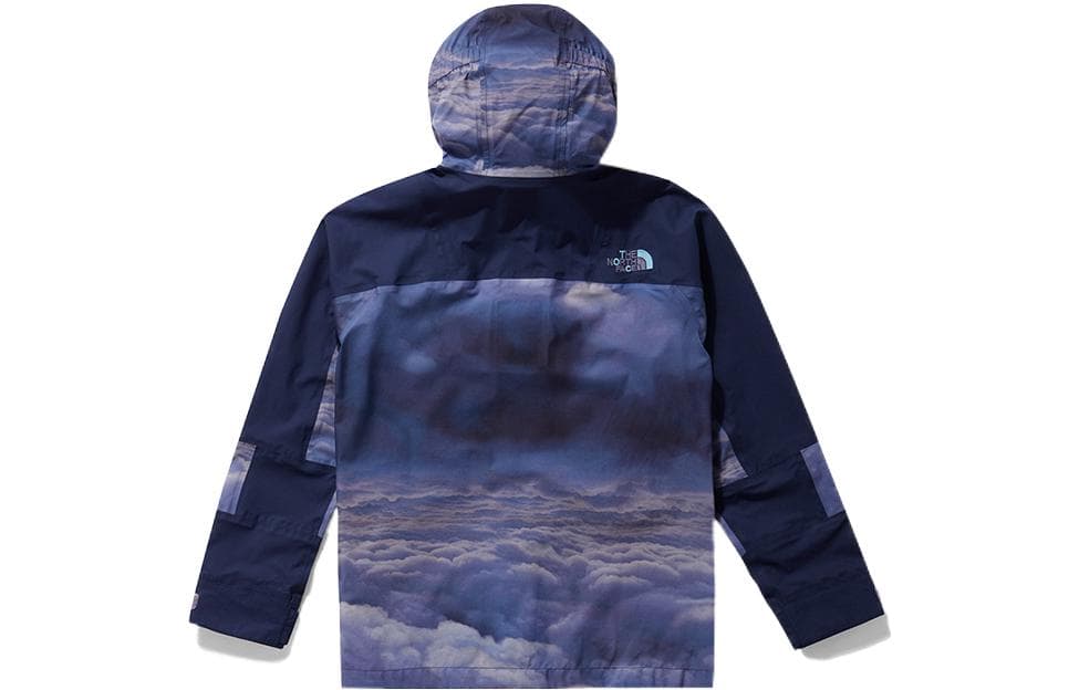 THE NORTH FACE x CLOT Logo - изображение 2