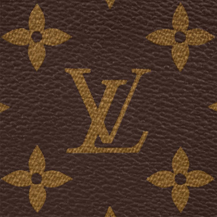 Поясная сумка LOUIS VUITTON CHRISTOPHER - изображение 5