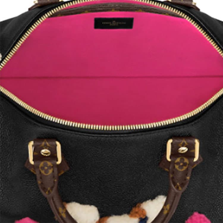 Сумка LOUIS VUITTON Speedy - изображение 5