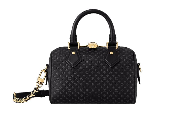 Сумка LOUIS VUITTON Speedy 20 - изображение 1