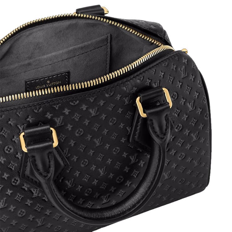 Сумка LOUIS VUITTON Speedy 20 - изображение 5