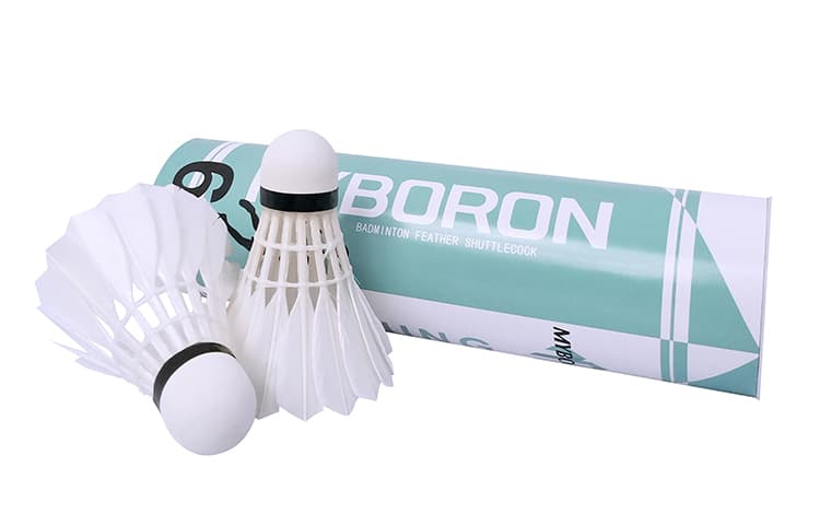 MYBORON 1 - изображение 2