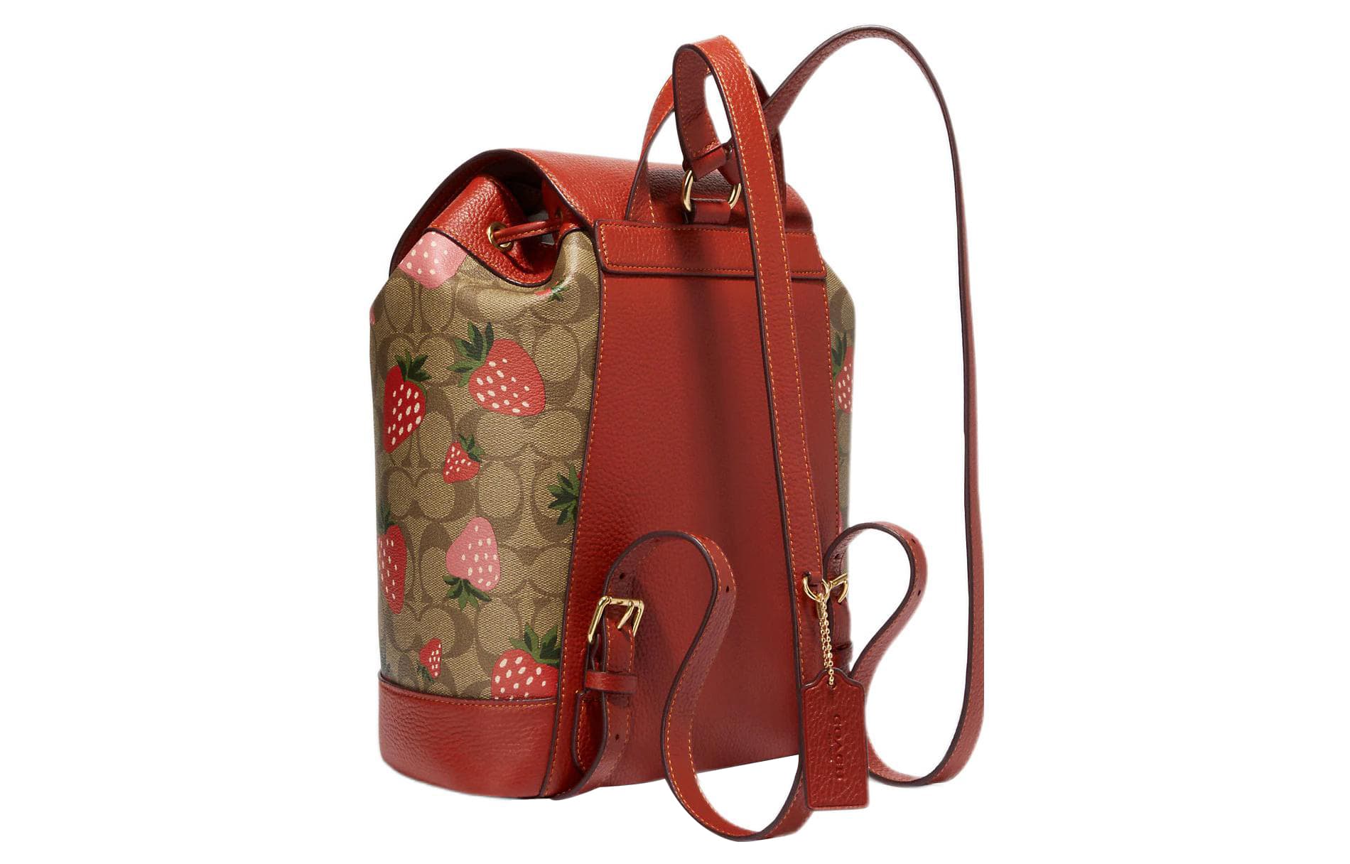 Рюкзак COACH Dempsey 26 - изображение 2