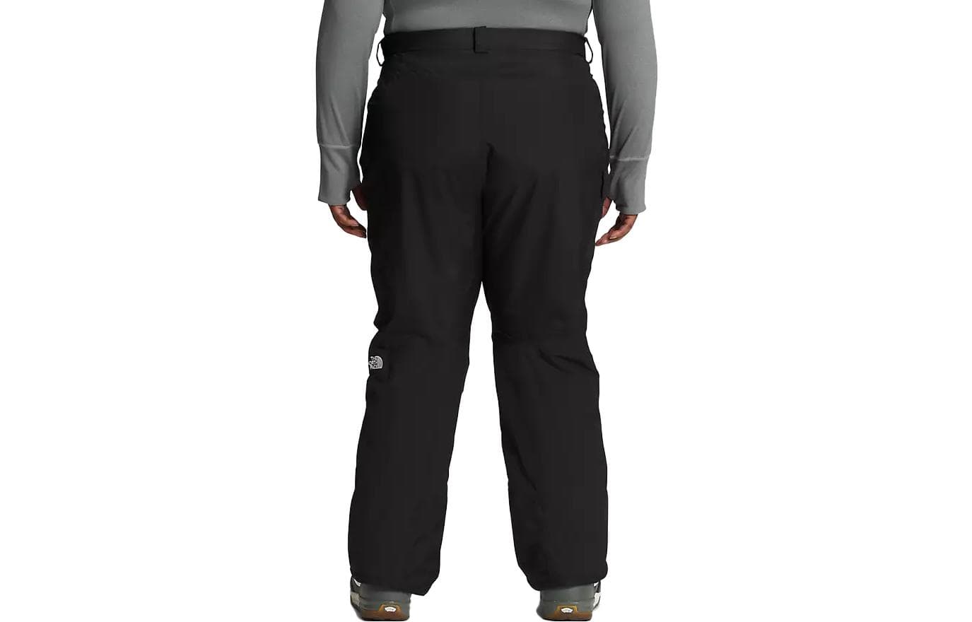 Штаны THE NORTH FACE Plus Freedom Logo - изображение 2