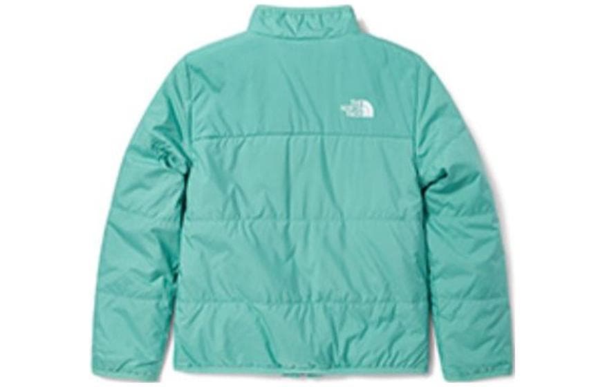 THE NORTH FACE Logo - изображение 2