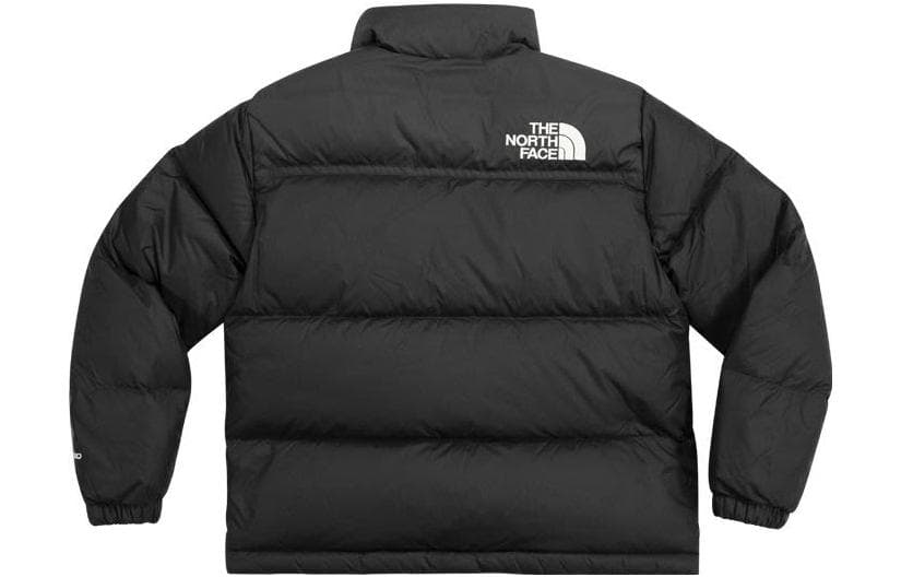 THE NORTH FACE Logo - изображение 2