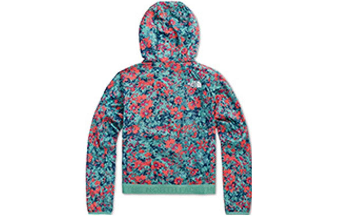 THE NORTH FACE Logo - изображение 2