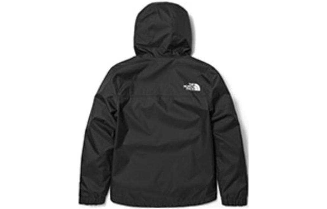 THE NORTH FACE Logo - изображение 2