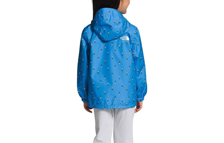 THE NORTH FACE Logo - изображение 3