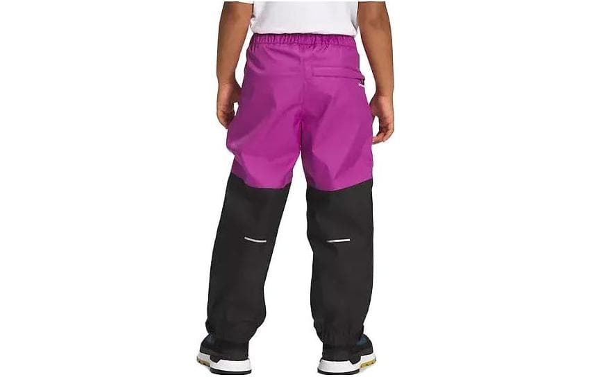 THE NORTH FACE Logo - изображение 2