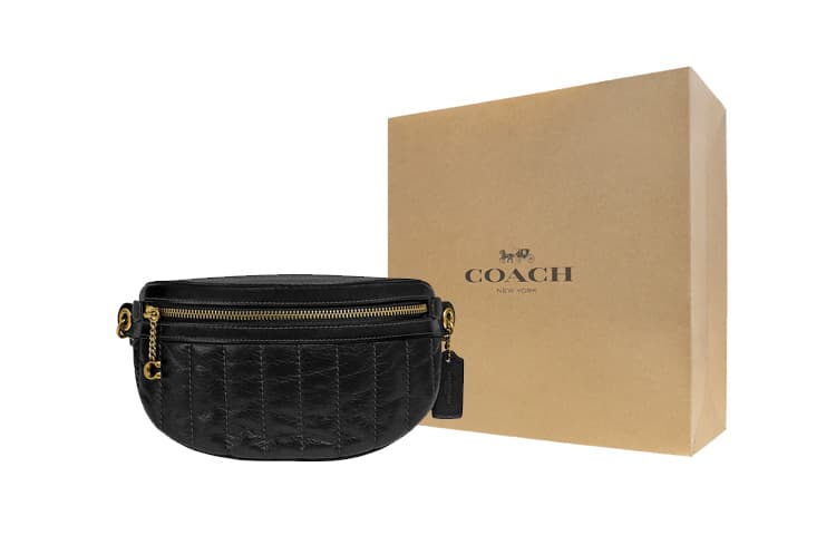 Поясная сумка COACH Chain 22 - изображение 1