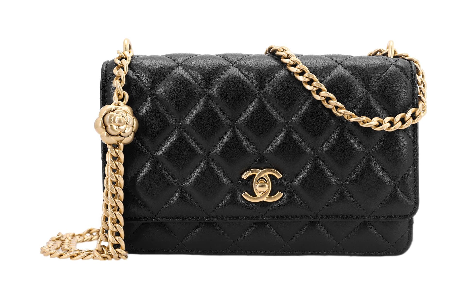 Сумка через плечо CHANEL Classic Flap CF 23S - изображение 2