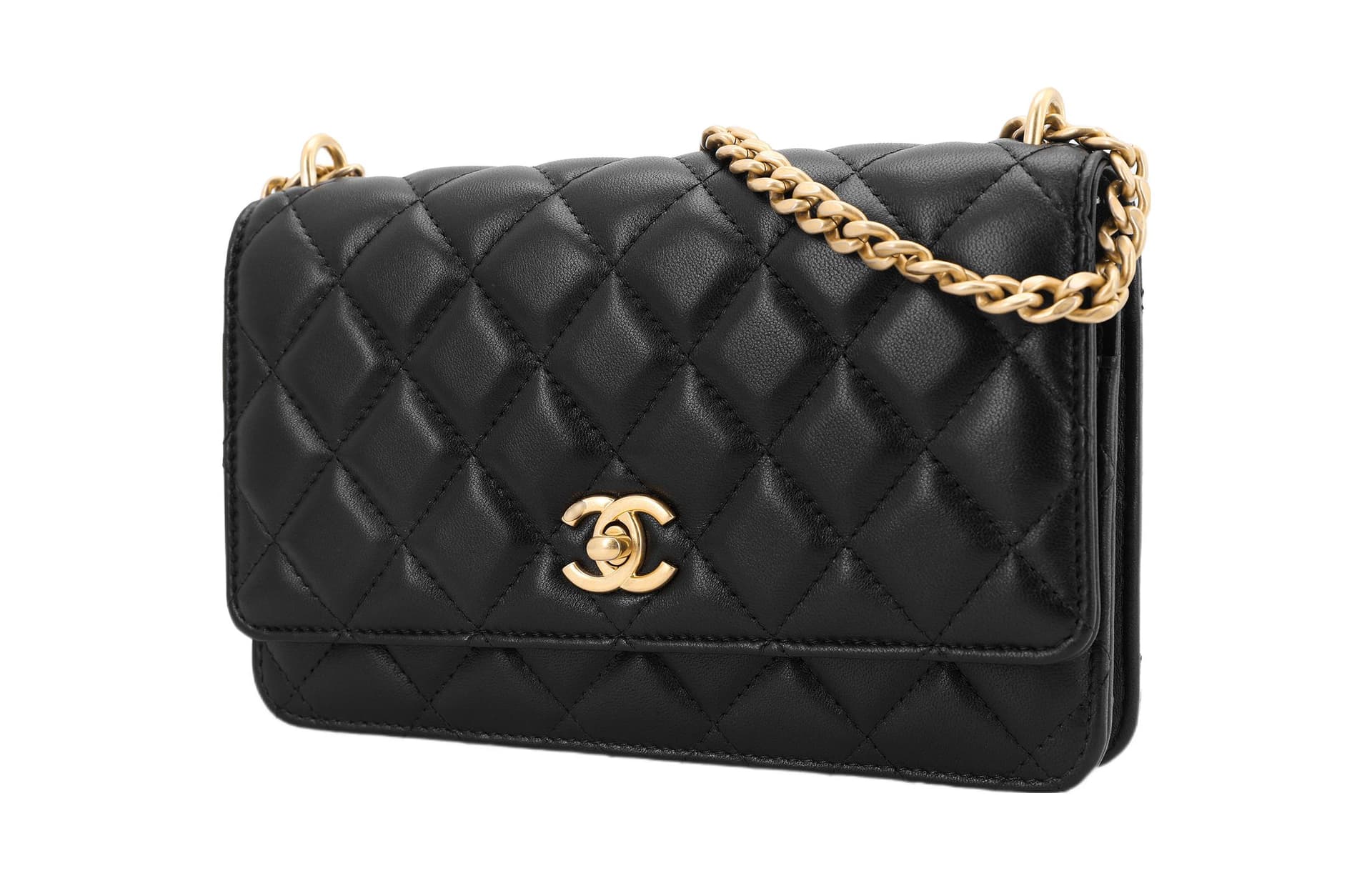 Сумка через плечо CHANEL Classic Flap CF 23S - изображение 3