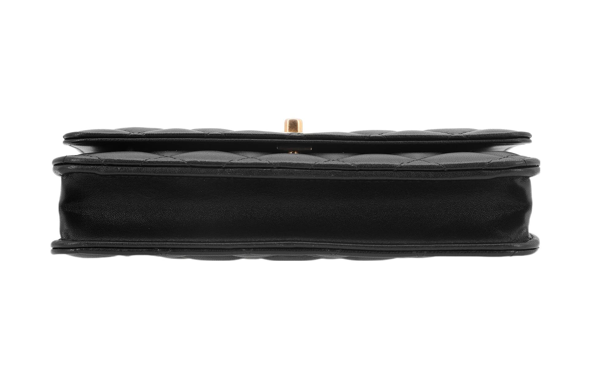 Сумка через плечо CHANEL Classic Flap CF 23S - изображение 5