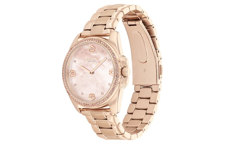 Механические часы COACH Greyson 14504110 - изображение 3