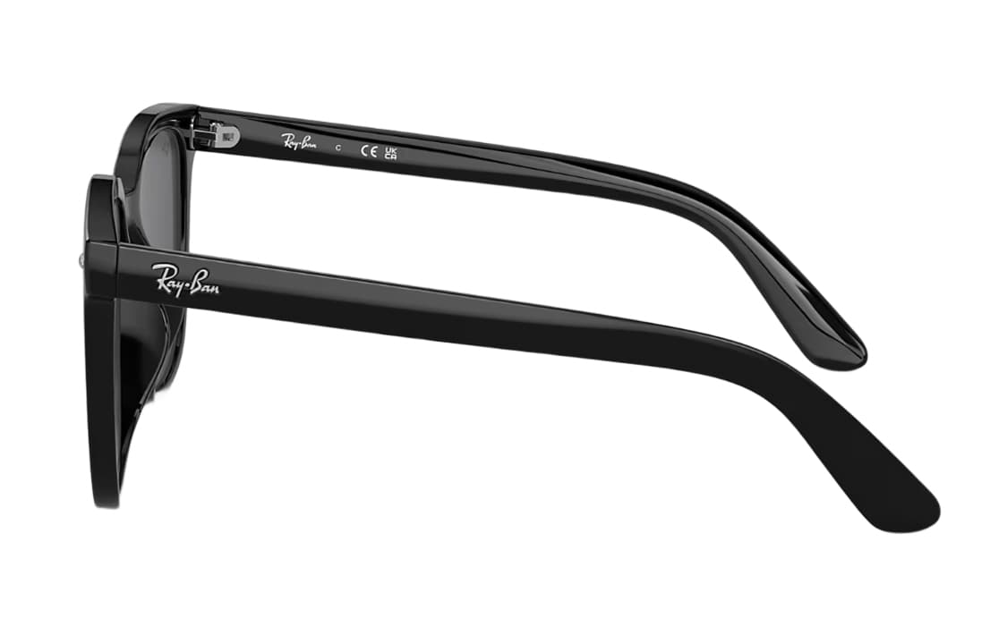 Солнцезащитные очки RayBan Logo - изображение 5