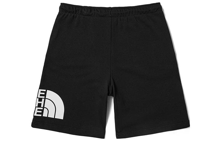 Шорты THE NORTH FACE 23SS Logo - изображение 2