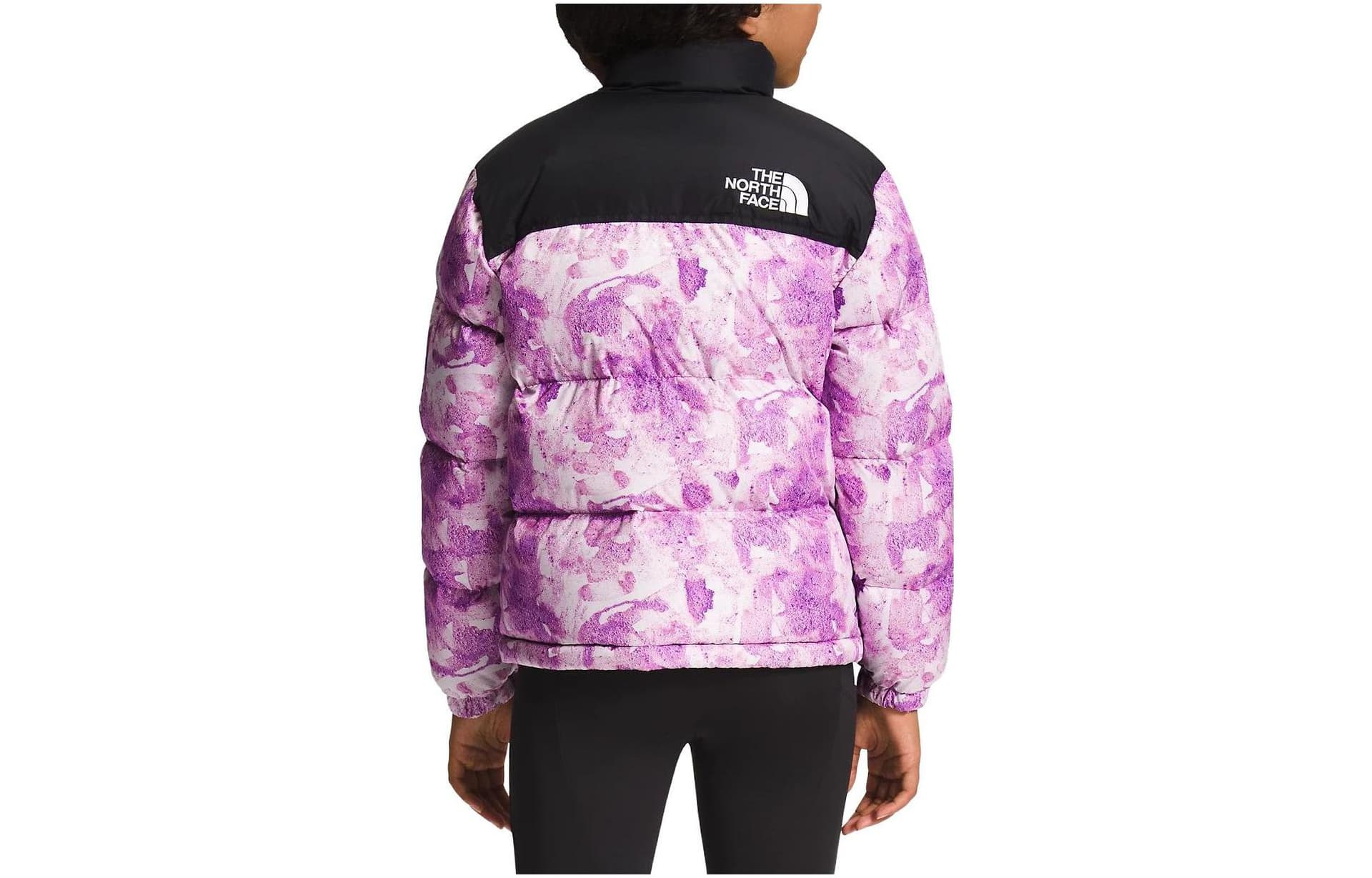 THE NORTH FACE Logo - изображение 2