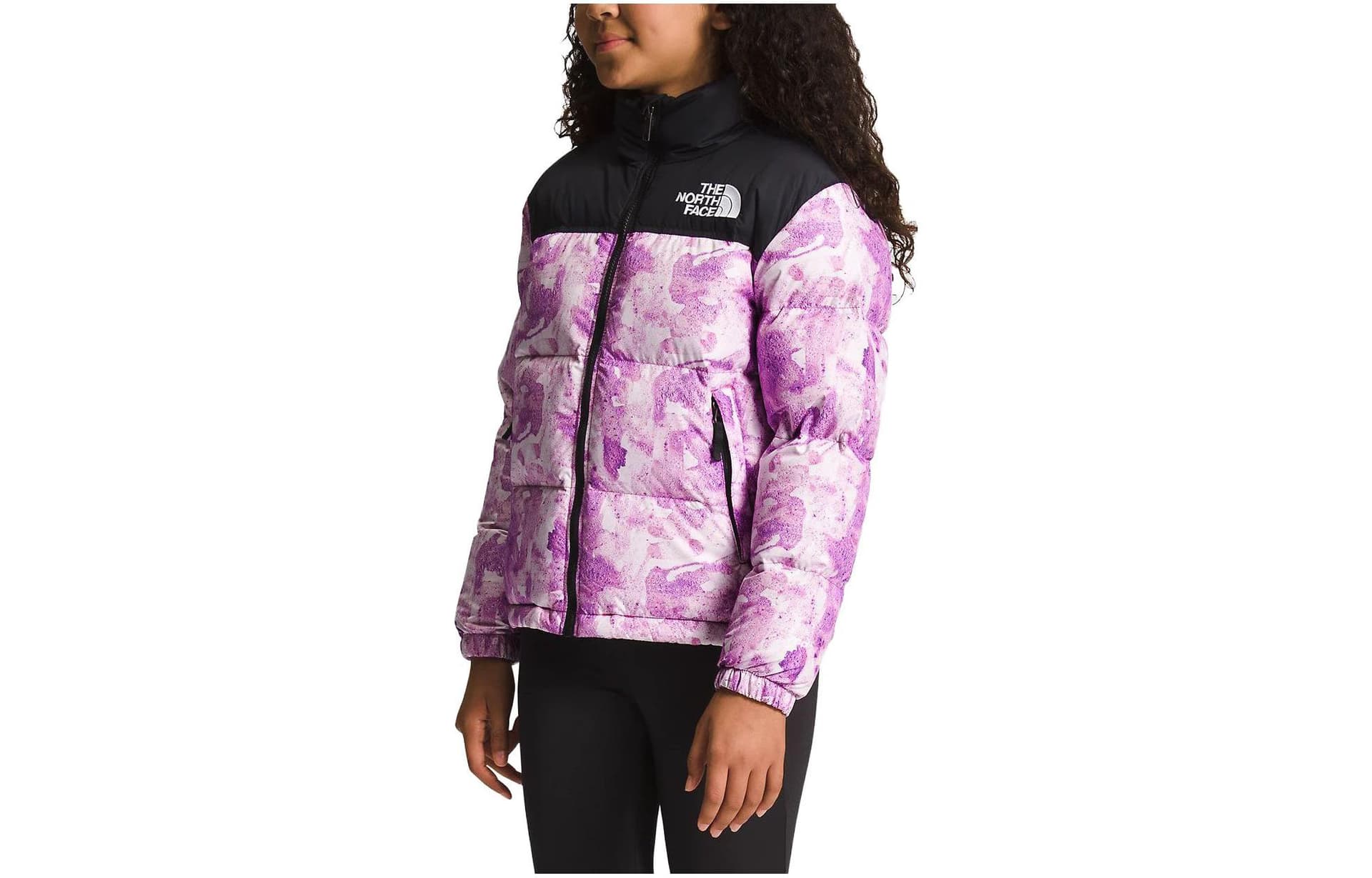 THE NORTH FACE Logo - изображение 3